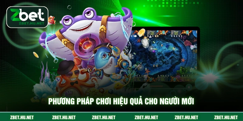 Phương pháp chơi hiệu quả cho người mới